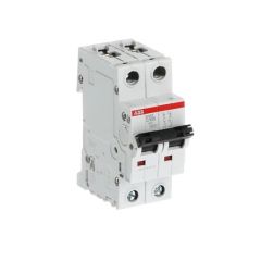 S202-C100 2x100A C TİPİ OTOMATİK SİGORTA 6kA